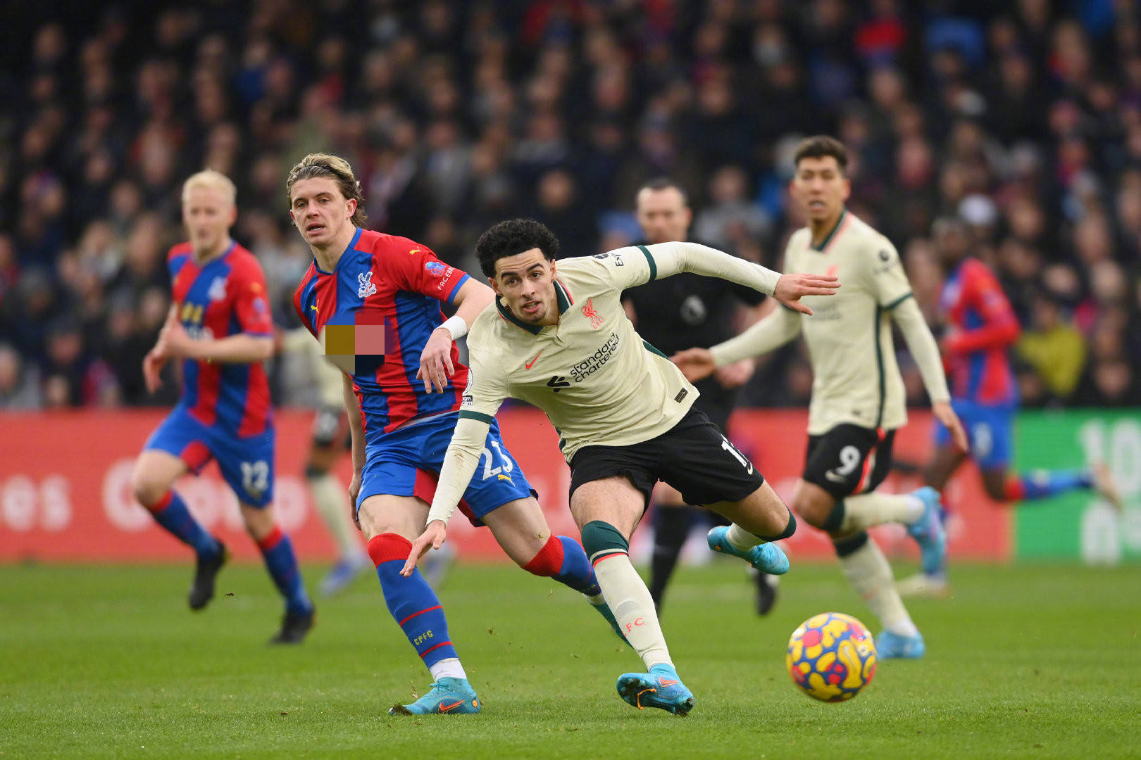 也将是检验 也将是检验